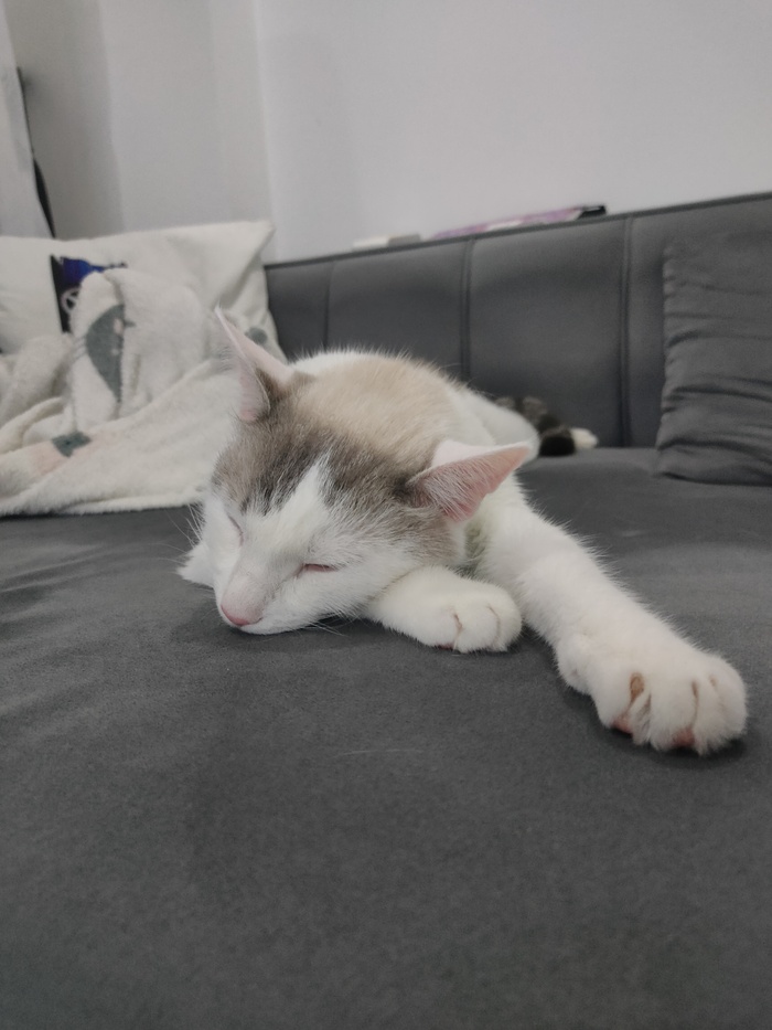    , , , , ,  ,  