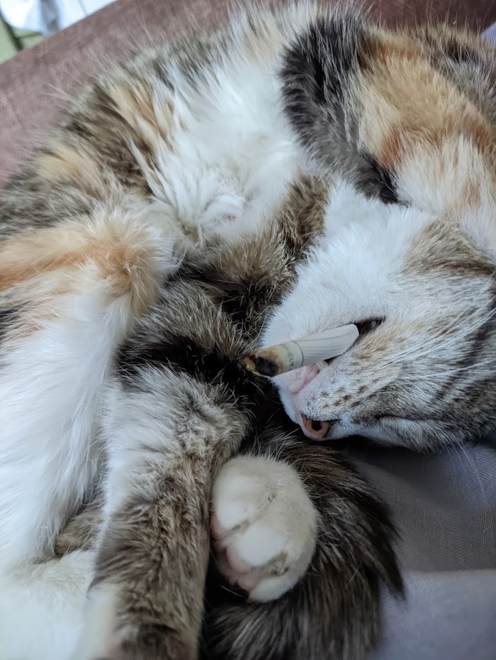 ����, ������, ��������...