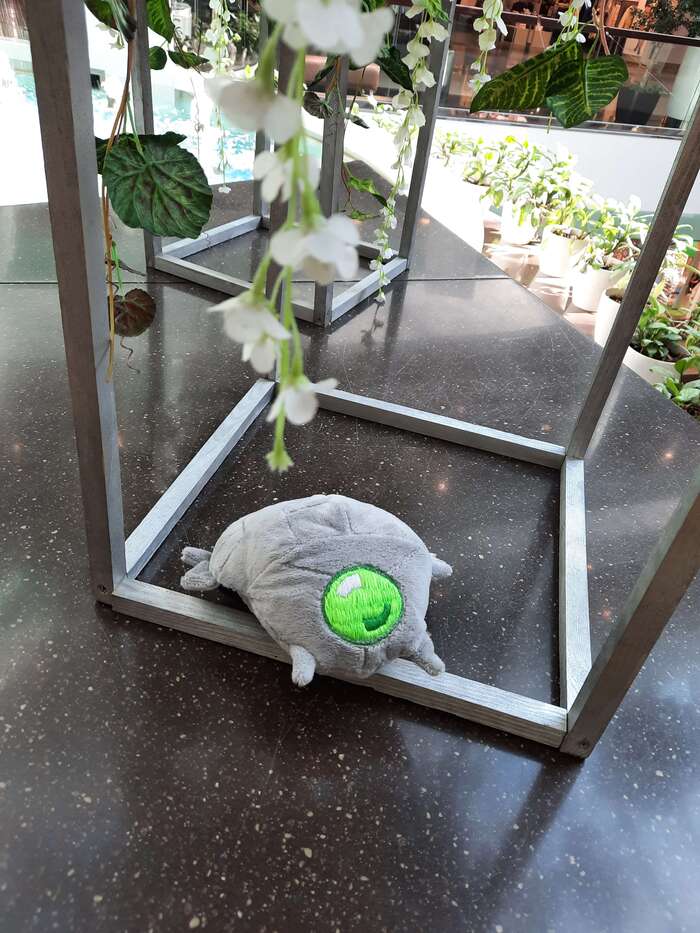 �� ����, ����� �� ������� ��� Old Warhammer, ���� �� ������ �� ������ ������ ������