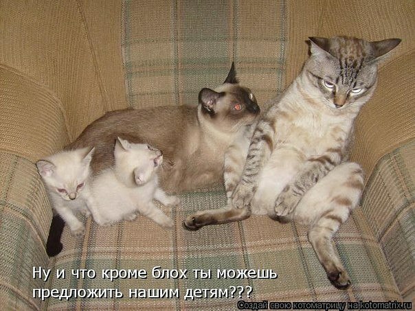 ������������ �����