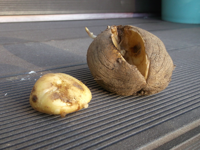 Разродилась, поздравляем!