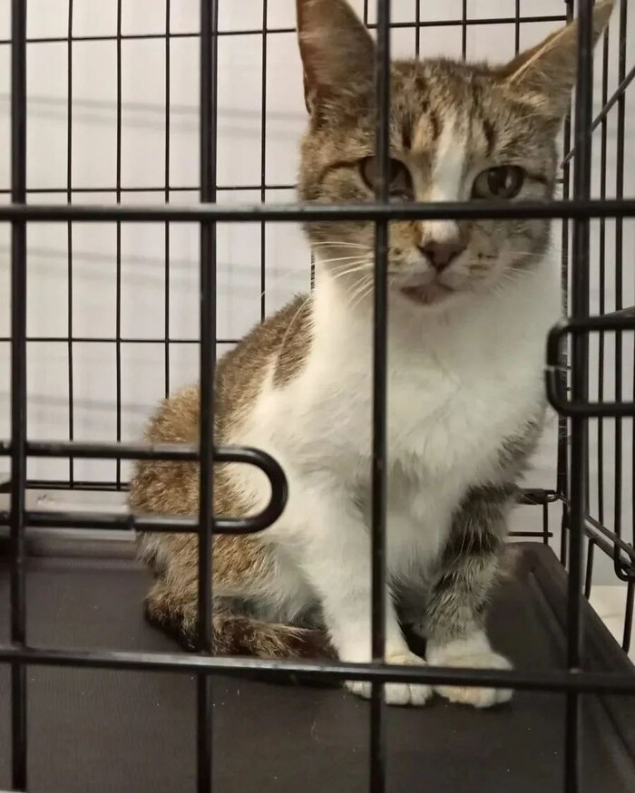 ������ ����� �� �������