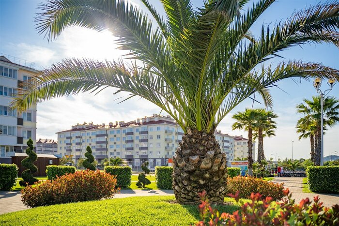 Бархатный сезон 2023 года. Какой курорт подойдет для отдыха осенью 2023 года?