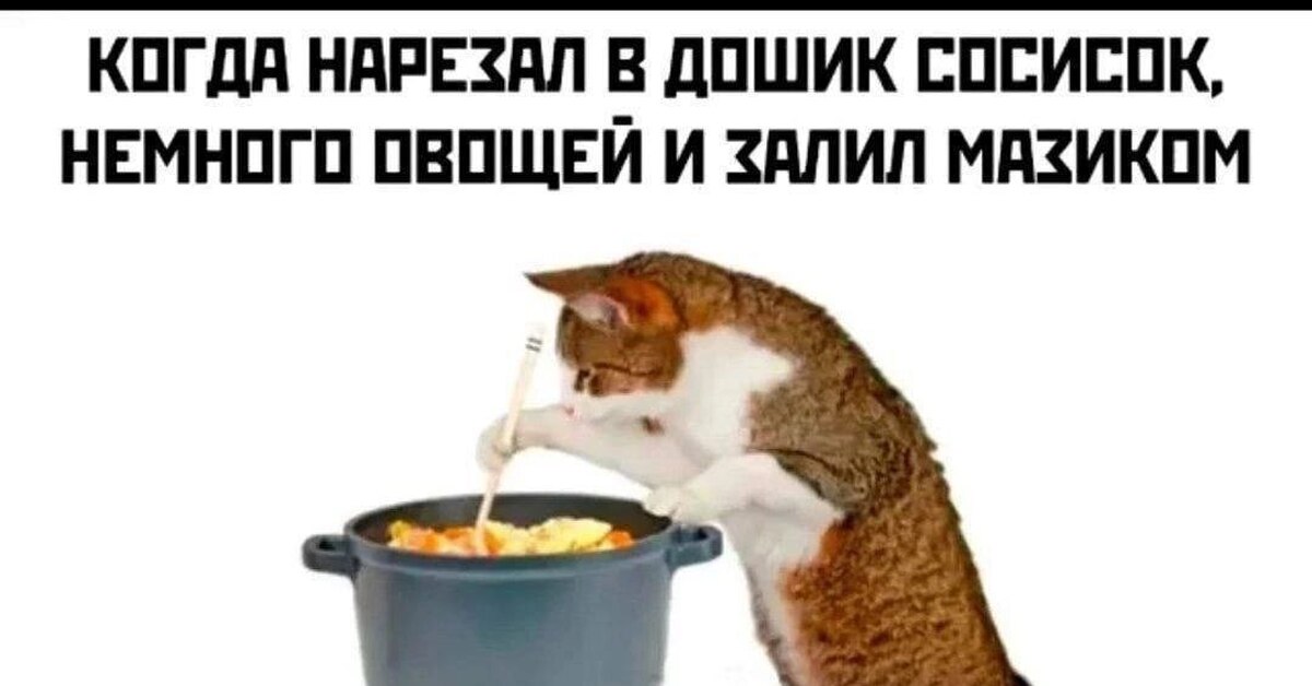 Bellissimo! Perfecto! | Пикабу