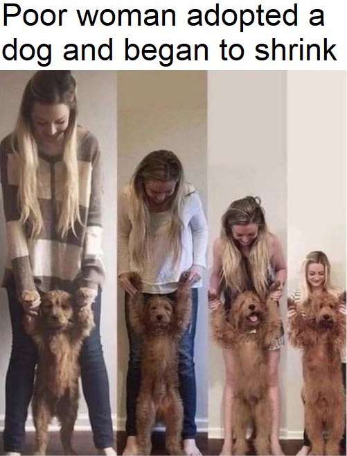       !   , , , , , -
