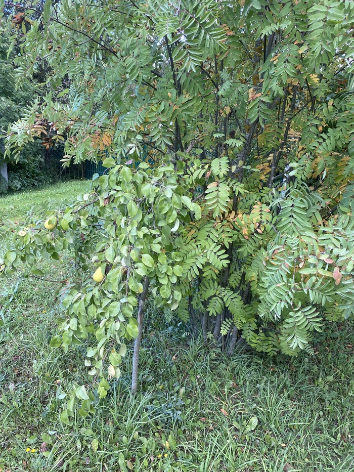 ����� ������, �� ����� ������ ���. ����� �������� � ������. ����������- � ���� � ����� ��������.