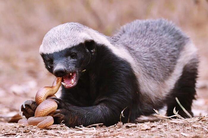 Ммммм... Вкусняшка!