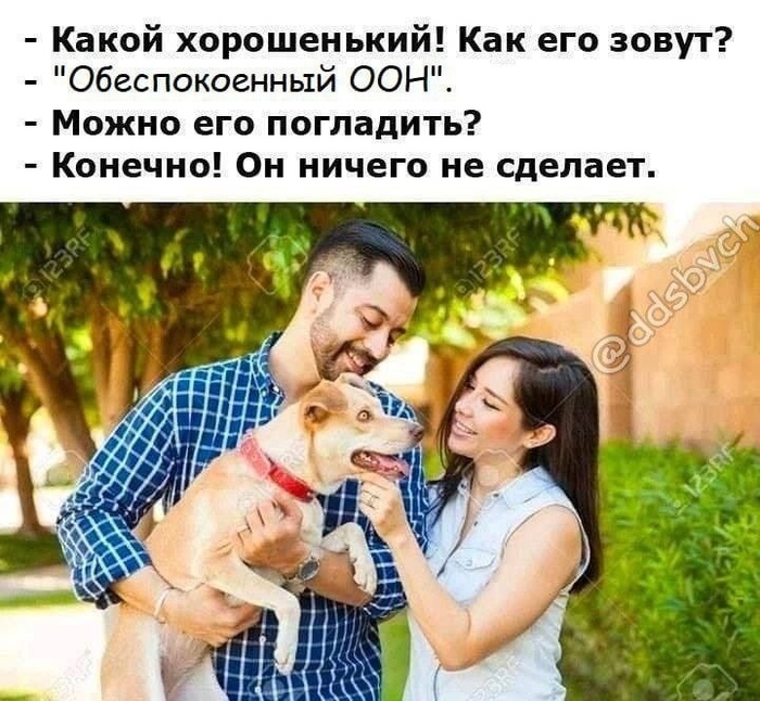 Он способен только осудить