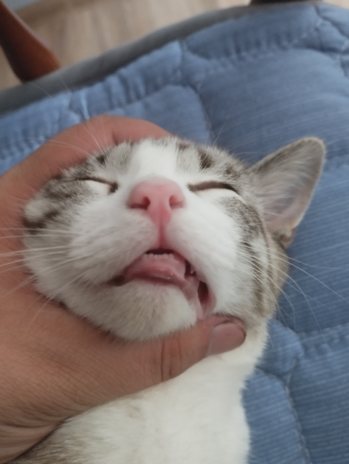 Доброе утро у каждого свое