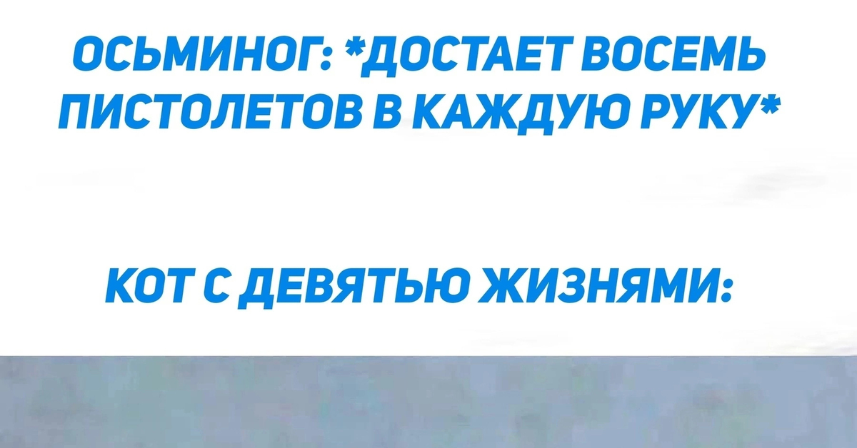 Осьминог vs Кот | Пикабу