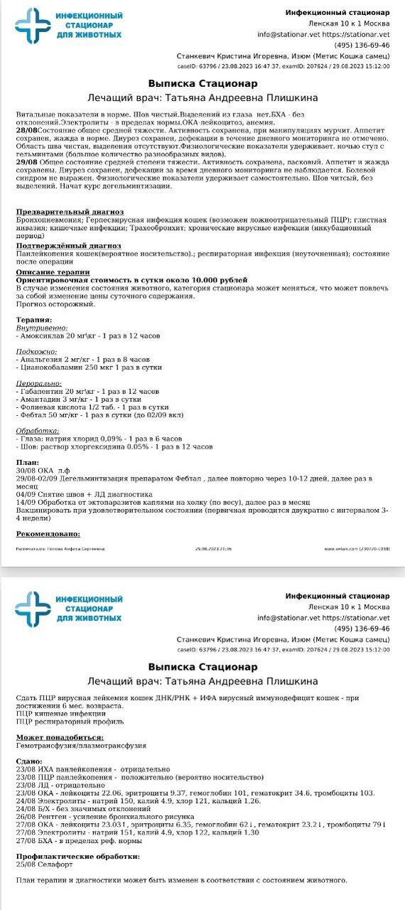 Заключения из клиники Спектрвет, г. Москва.