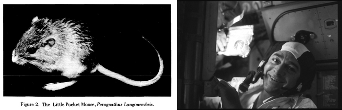 ����������� �� ������ �������-17