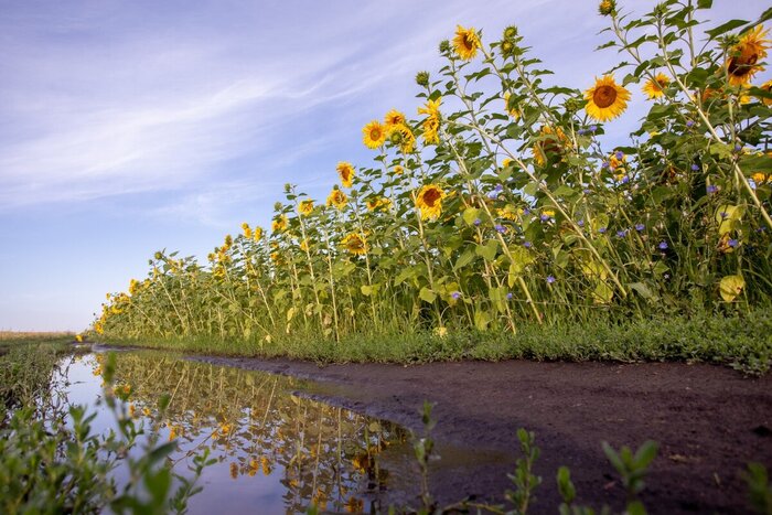 ���� ����������� � ����� ���