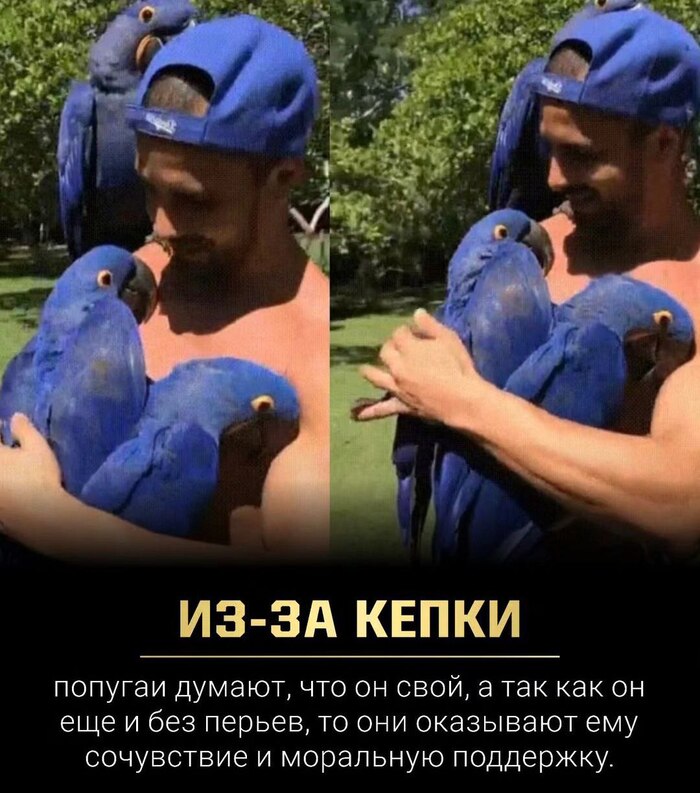   ) ,   , , , 
