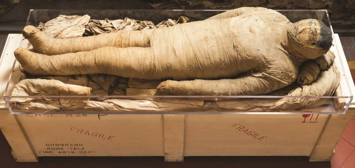 Мумия Древнего царства, Египетский музей, Турин
