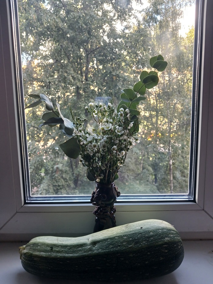 ����, �� ����