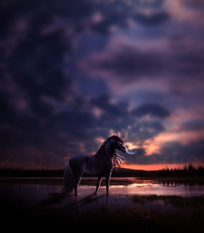 ���� ������ � �������