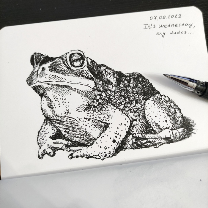 It is wednesday, my dudes