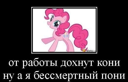 Этап 1. Старт в профессию 1с разработчик (подготовка) | Пикабу