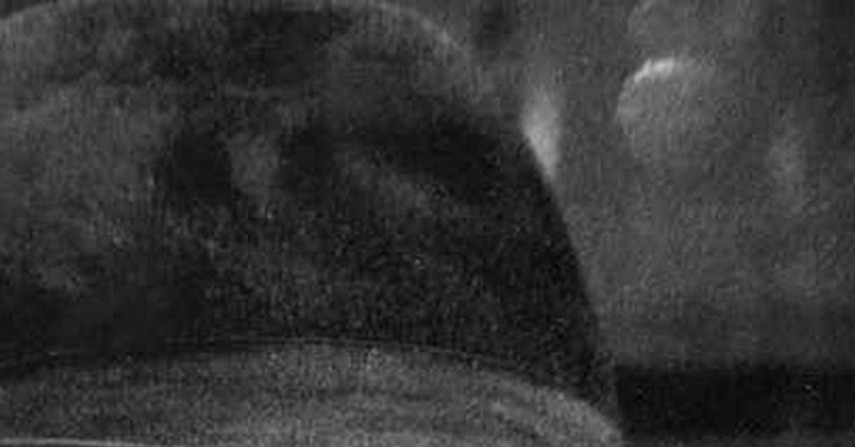 Полиграф Полиграфович Шариков | Пикабу