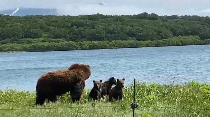 ��������� ����������, ��������