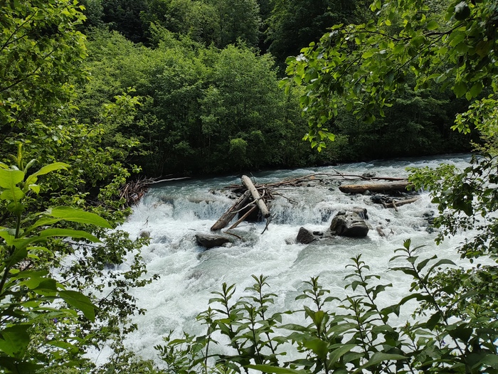 Водопадик на камнях и огромных бревнах... Очень бурный.