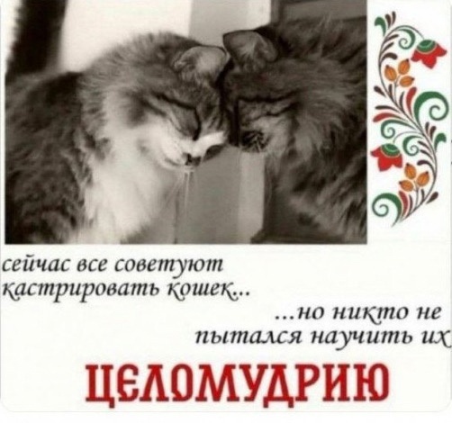 Способ верный, но нерабочий