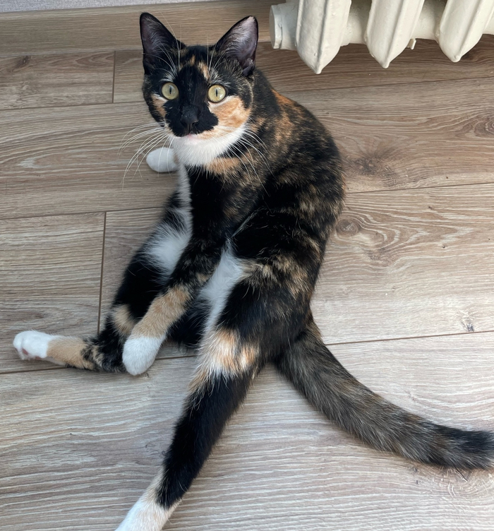 Так сидеть - это чисто семейное