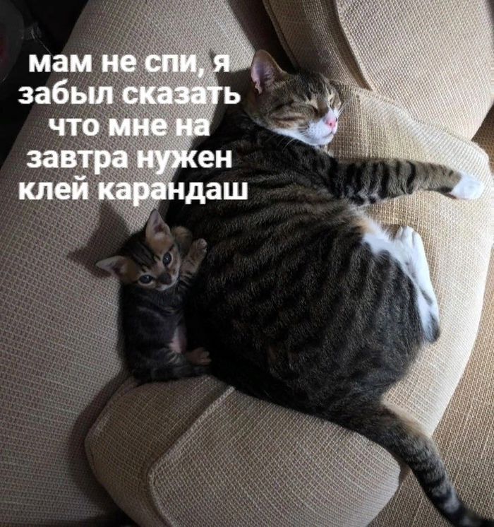   12  , ,   