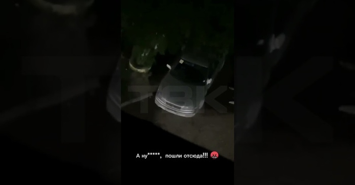 Бродячие собаки за этот год. Шокер от собак | Пикабу