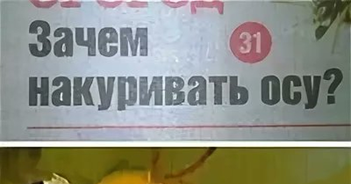 ОГОРОД Зачем накуривать осу?, Мем Пацан наркоман - Рисовач .Ру