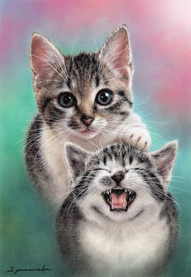 : Shyoshiro Yamanaka