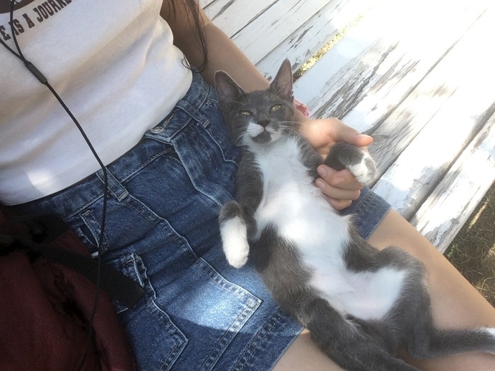 Эк нас распирожило!