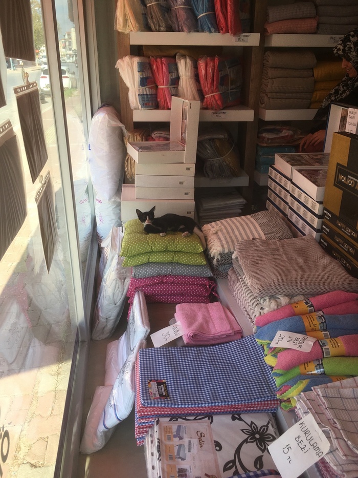 Придумайте название к фото.