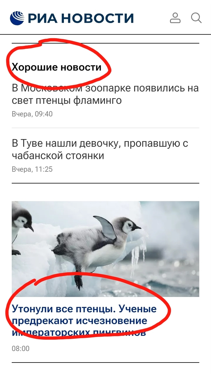 ������ ����������