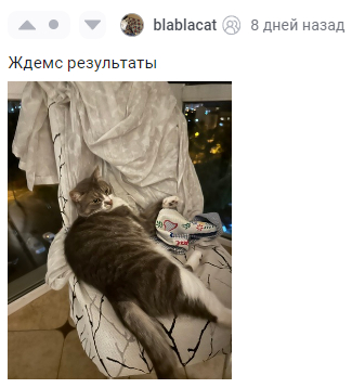 [Результат Фабрики №48] Итоги жёлтолистной недели | Пикабу
