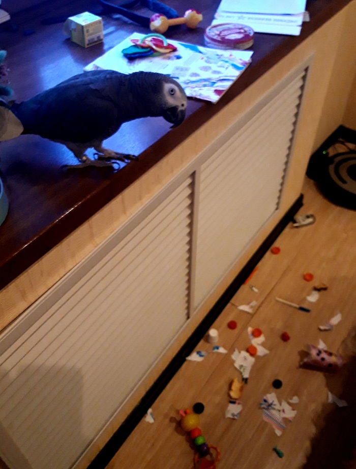 Приходил ко мне Серёжка, поиграли мы немножко