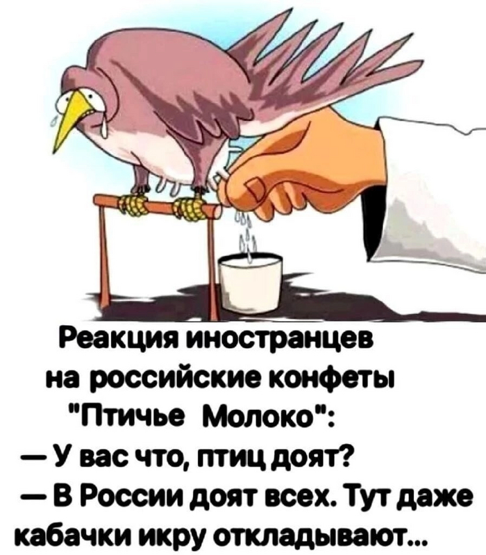 ��� ����� ���� ������