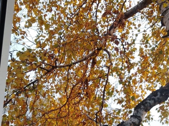 ����� � ��������🍁