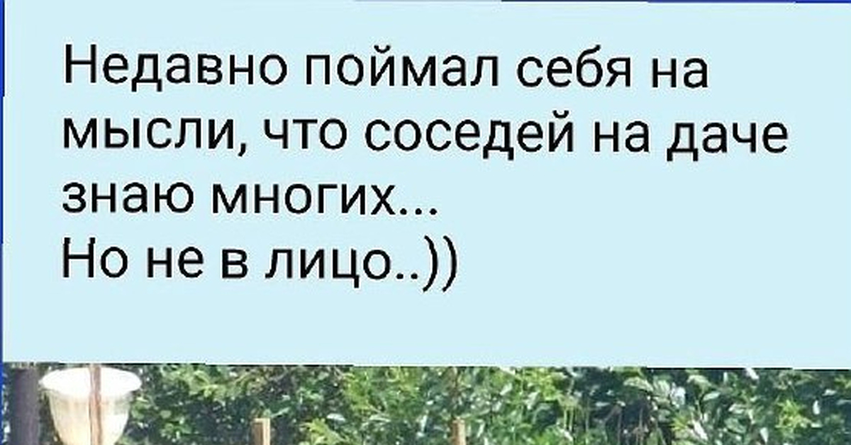 Соседи по даче | Пикабу