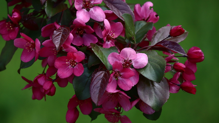    ,      ,      ,     ,    