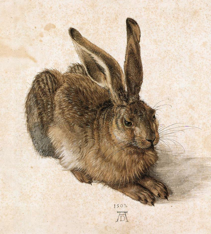 �������� ����� � «����», 1502