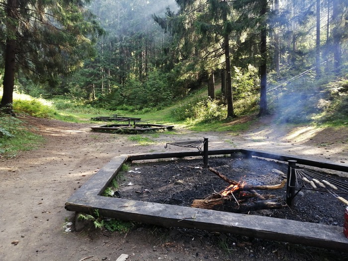 ����� �������� ��������