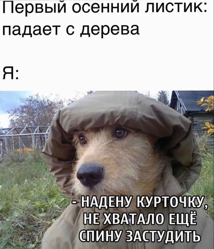  , , , ,   