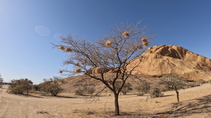 ��������� ������ ���� �� ������