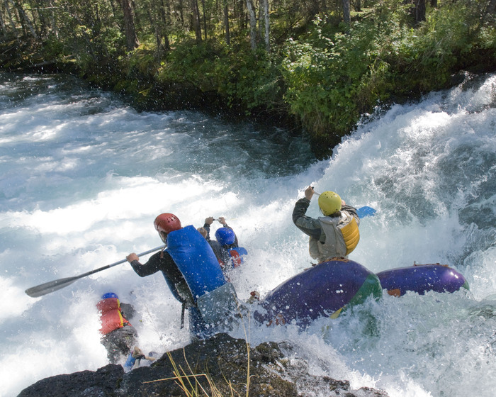 ��������, ����������