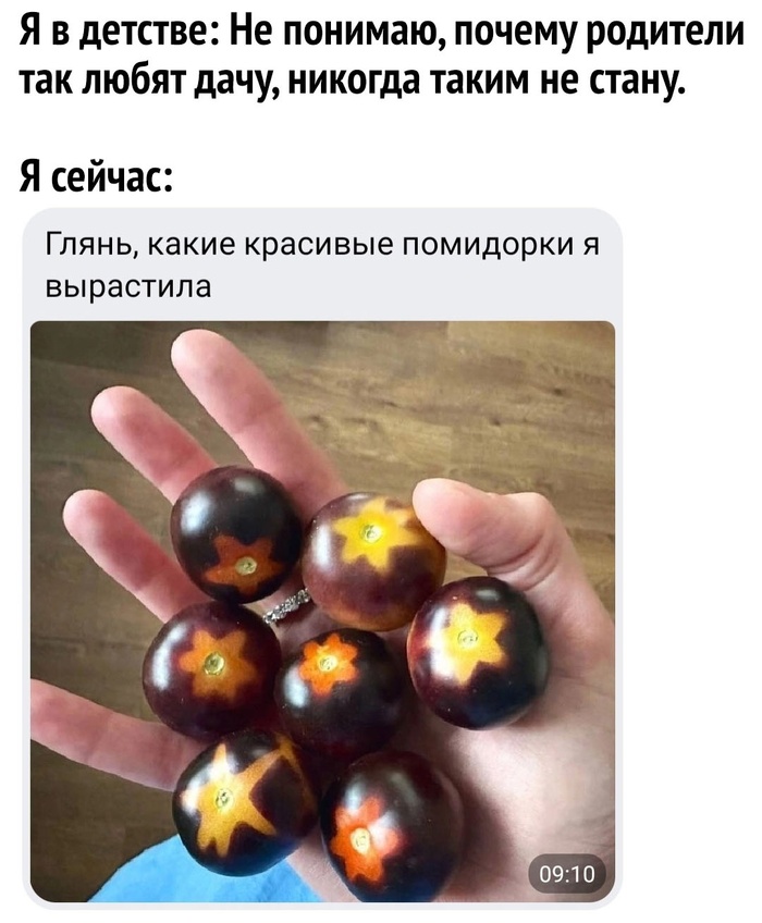 Дачное