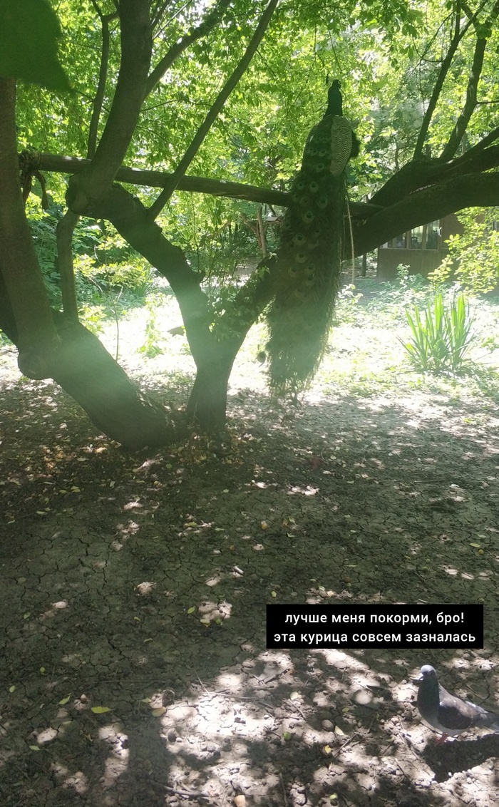 надпись сама напросилась)