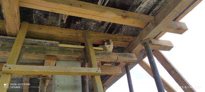 ��� ������.