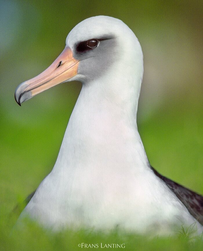      , ,  ,  ,   , , 